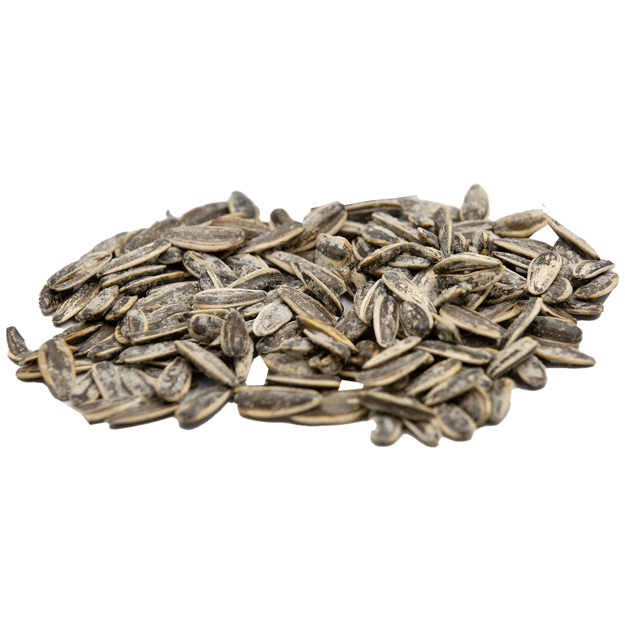 Sunflower Seed PNG Free File Download