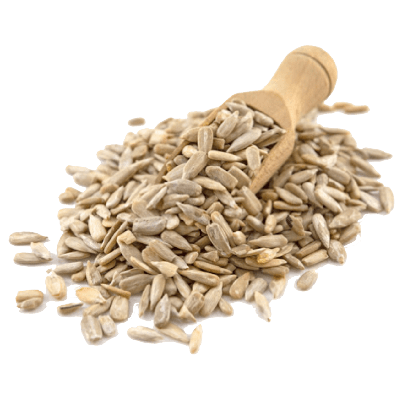 Sunflower Seed PNG HD Quality