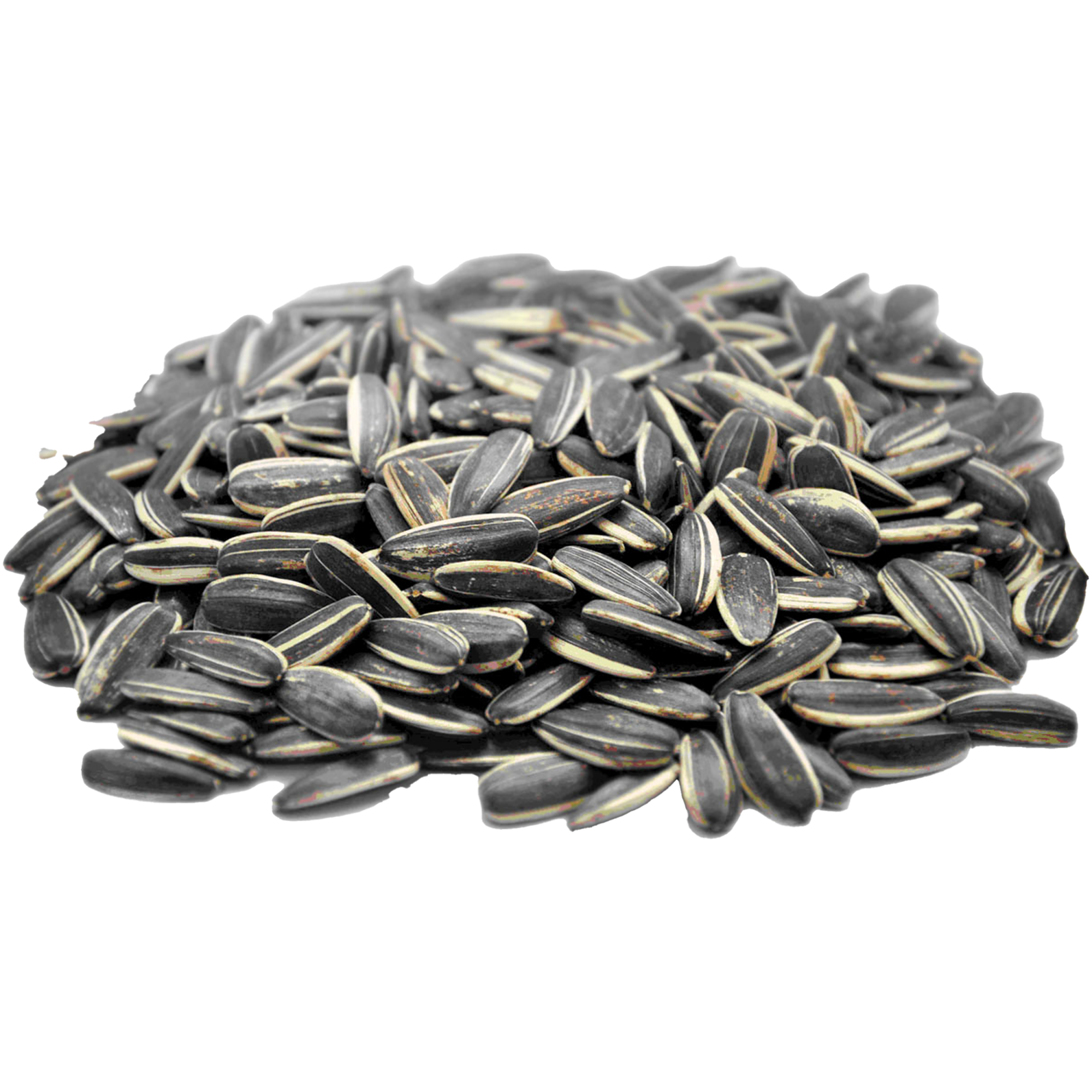 Sunflower Seed PNG Images HD