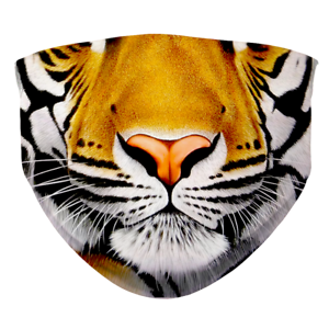 Tiger Mask Transparent Free PNG