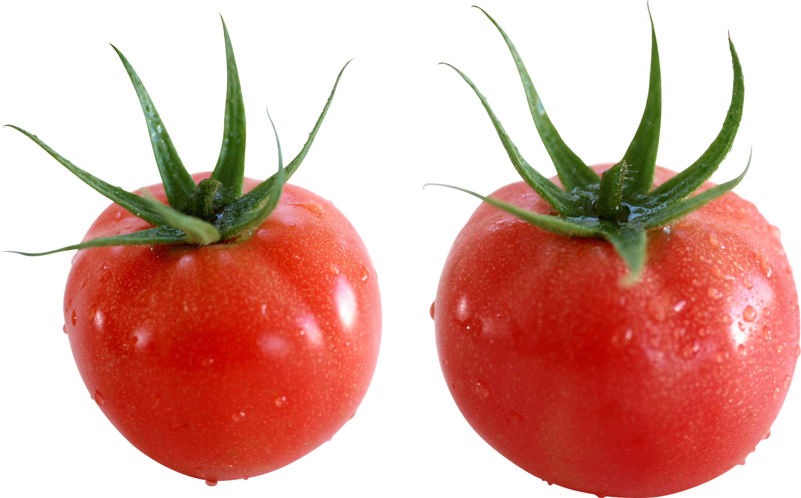 Tomatoes Download Free PNG