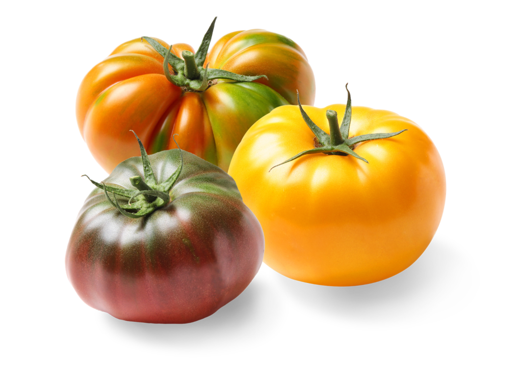 Tomatoes Free PNG