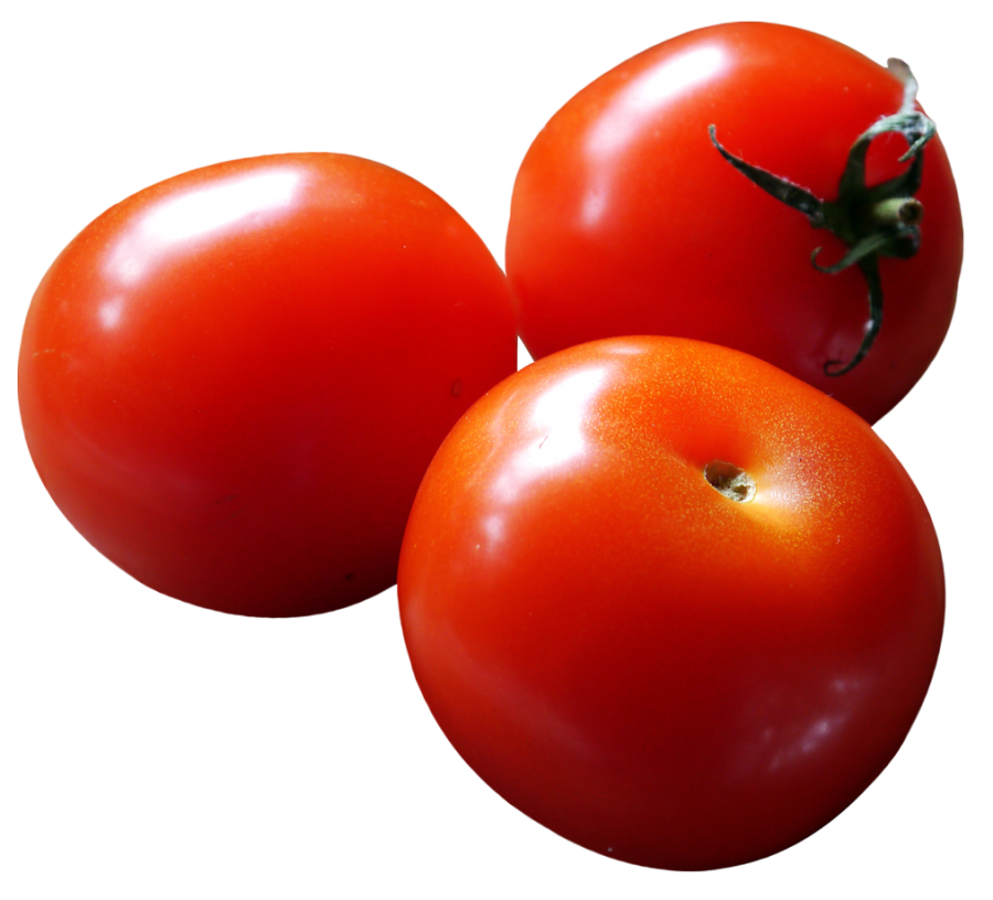 Tomatoes No Background