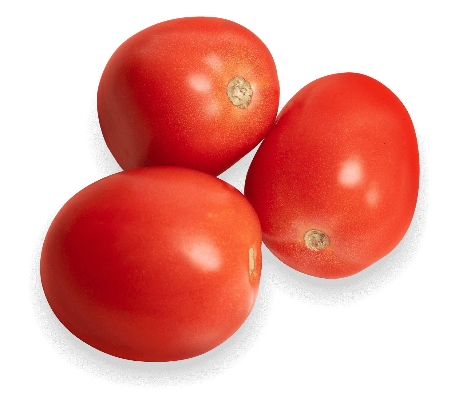 Tomatoes PNG Clipart Background