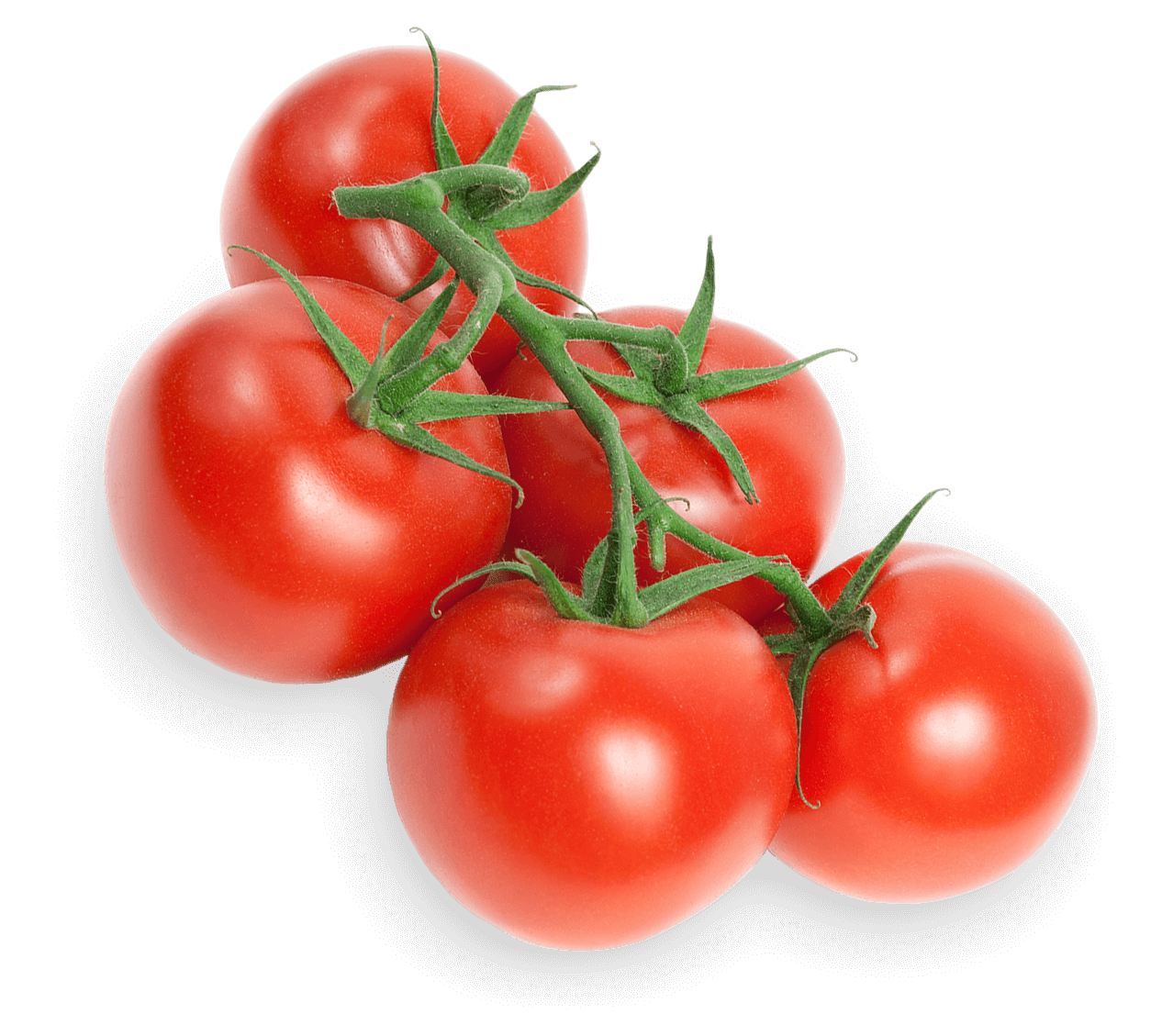 Tomatoes PNG Photo Image