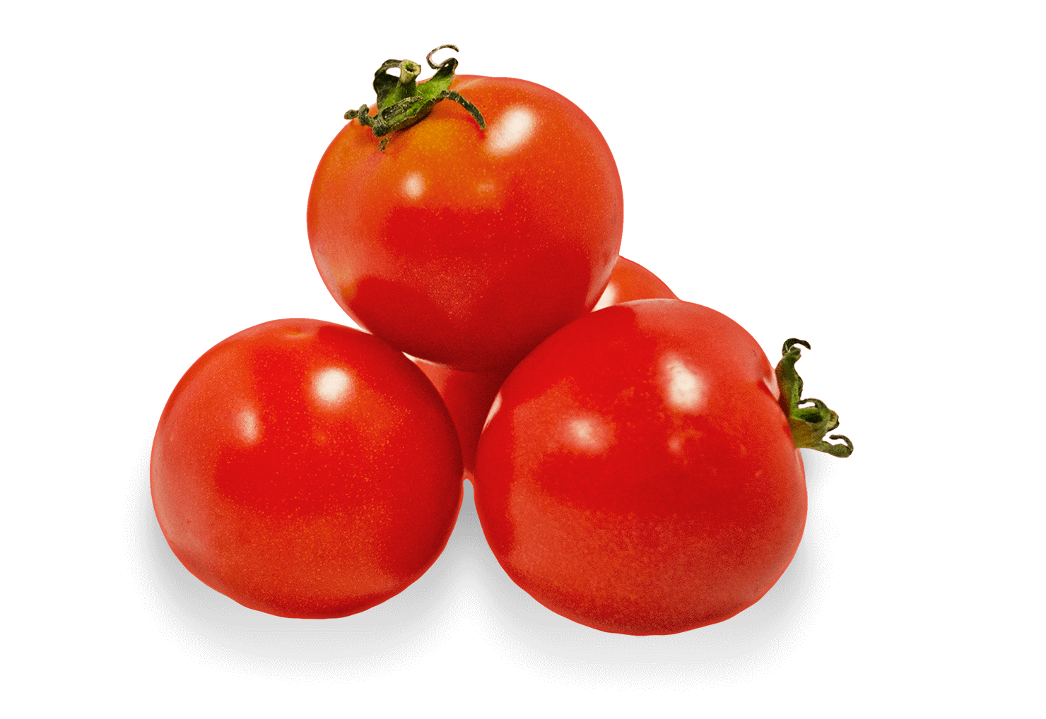 Tomatoes Transparent File
