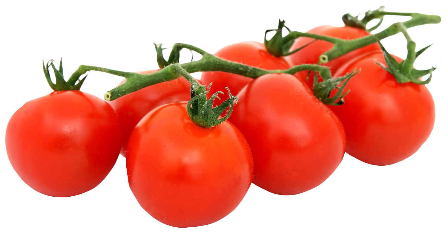 Tomatoes Transparent Free PNG