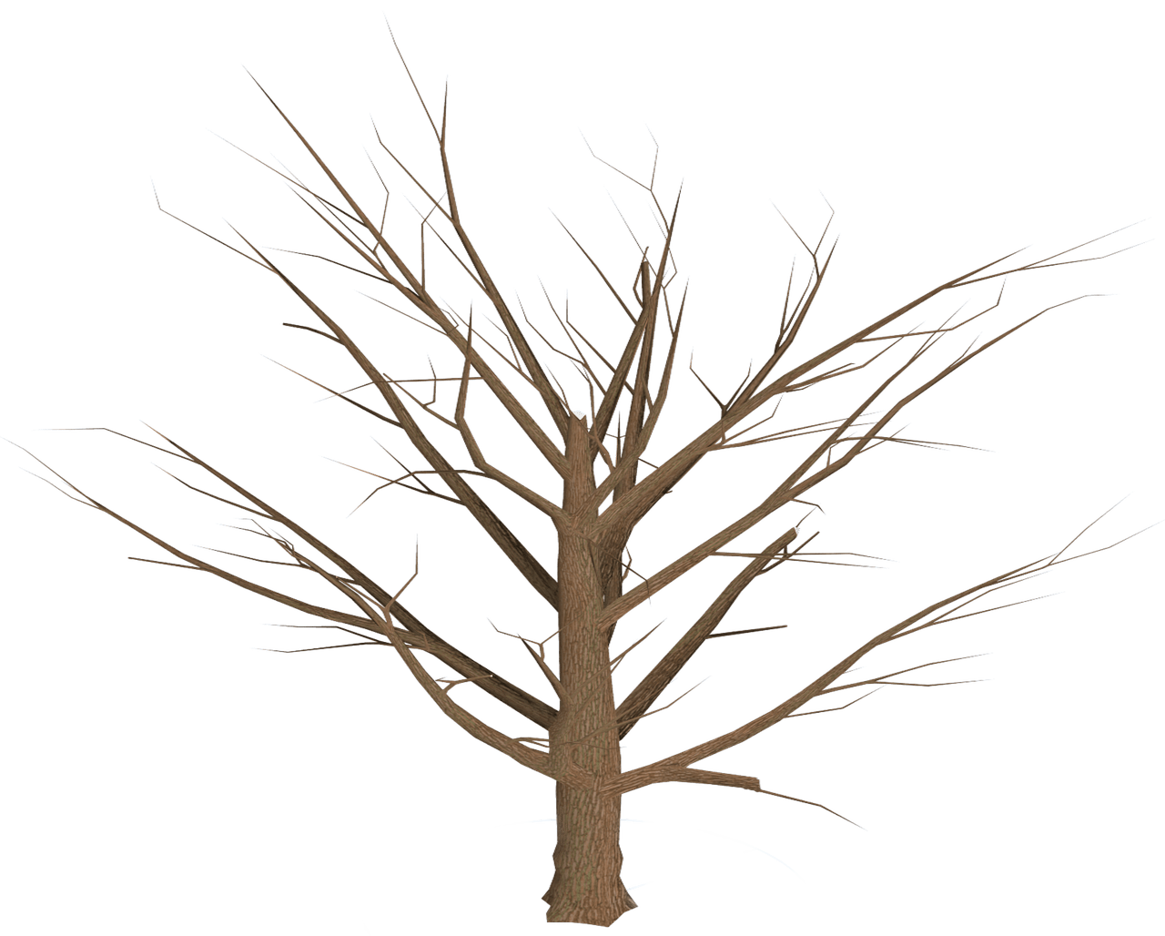 Tree Dead Branches PNG Free File Download