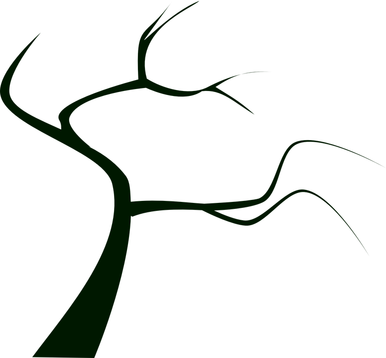 Tree Dead Branches PNG HD Quality
