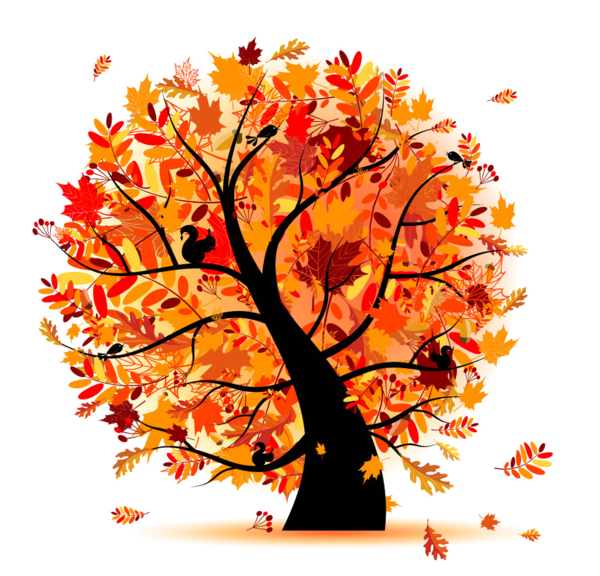 Tree In Autumn PNG Background