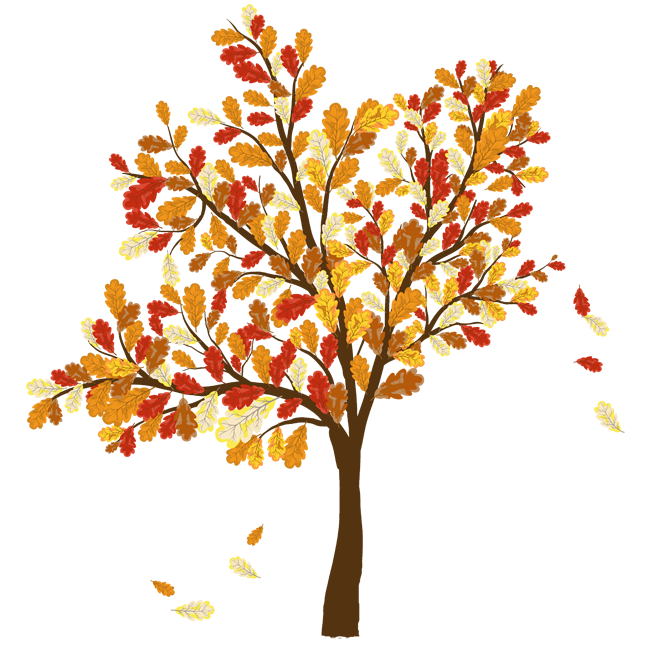 Tree In Autumn PNG Images HD