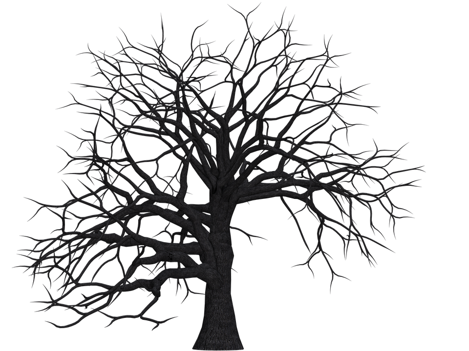 Tree No Leaves Free PNG