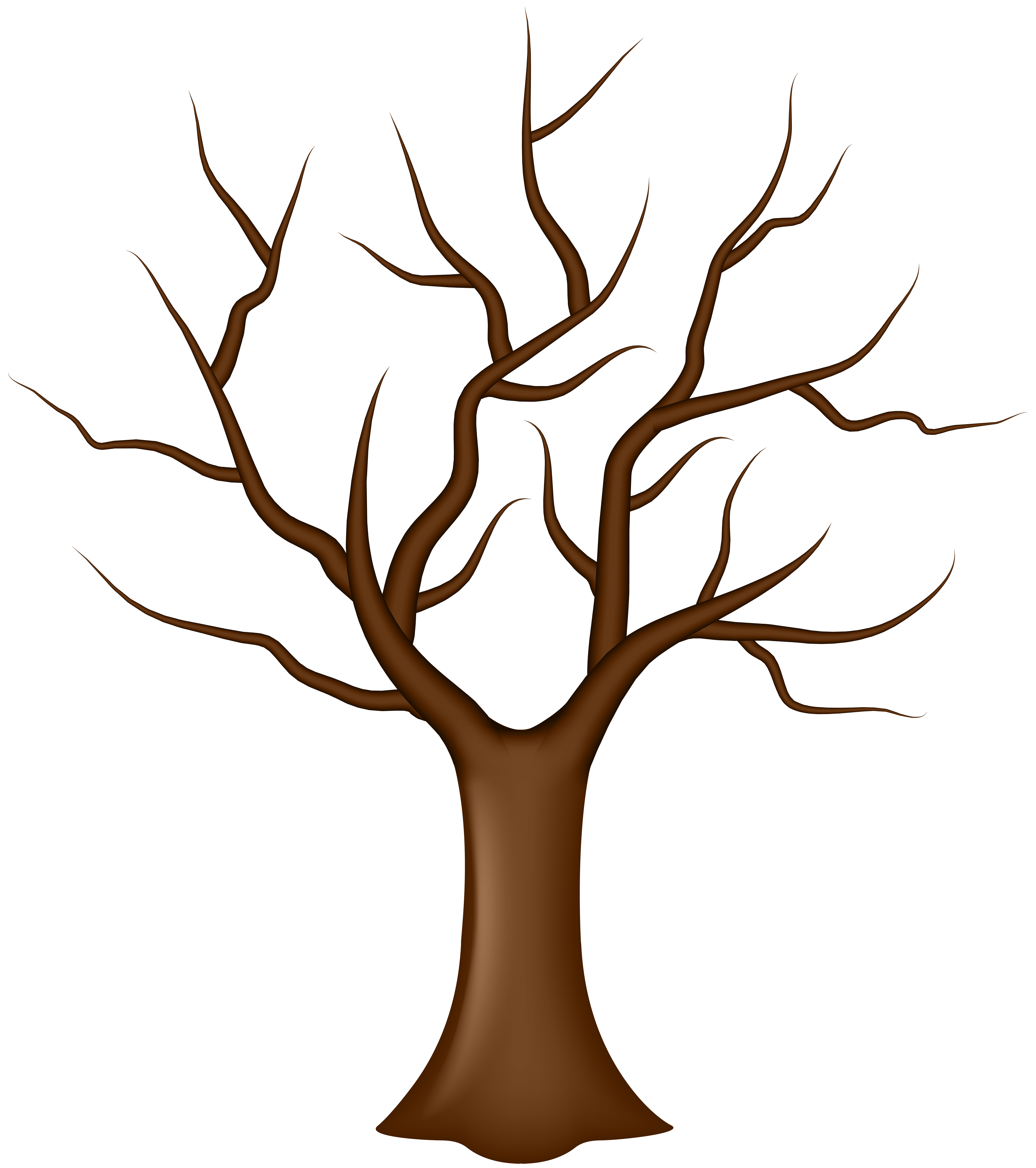 Tree No Leaves Transparent Background