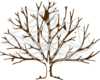 Tree No Leaves Transparent PNG