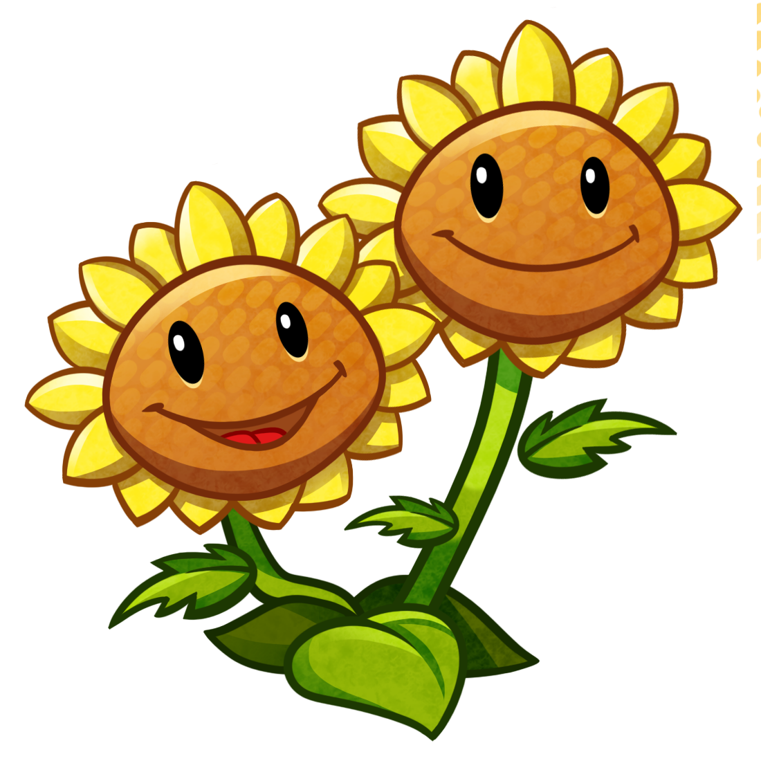 Two Sunflowers Transparent Background