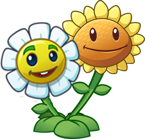 Two Sunflowers Transparent File