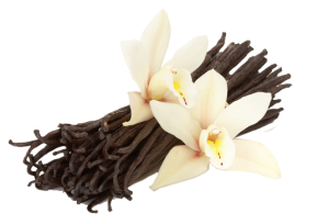 Vanilla Bean Flower Transparent Free PNG