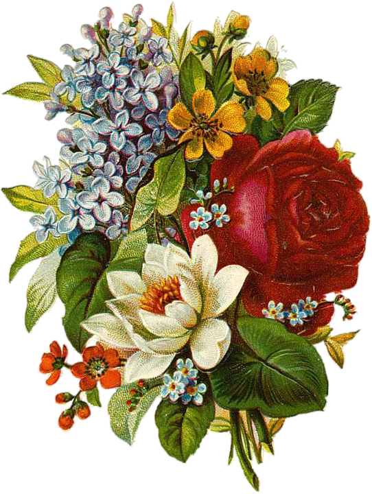Victorian Vintage Flowers Download Free PNG