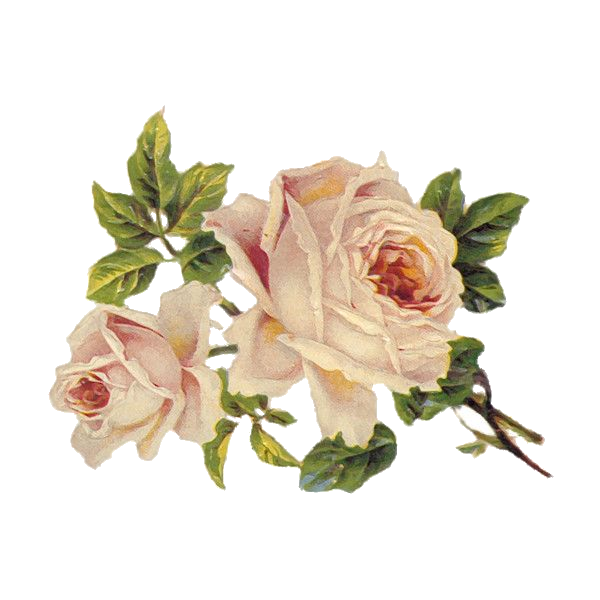 Victorian Vintage Flowers Transparent Background
