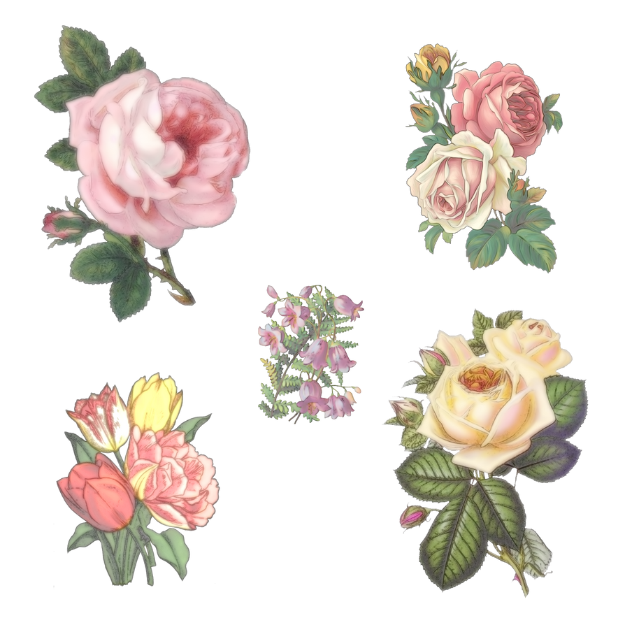 Victorian Vintage Flowers Transparent File