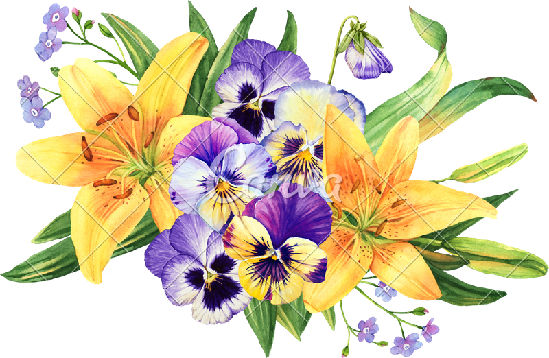 Watercolor Bouquet Transparent Background