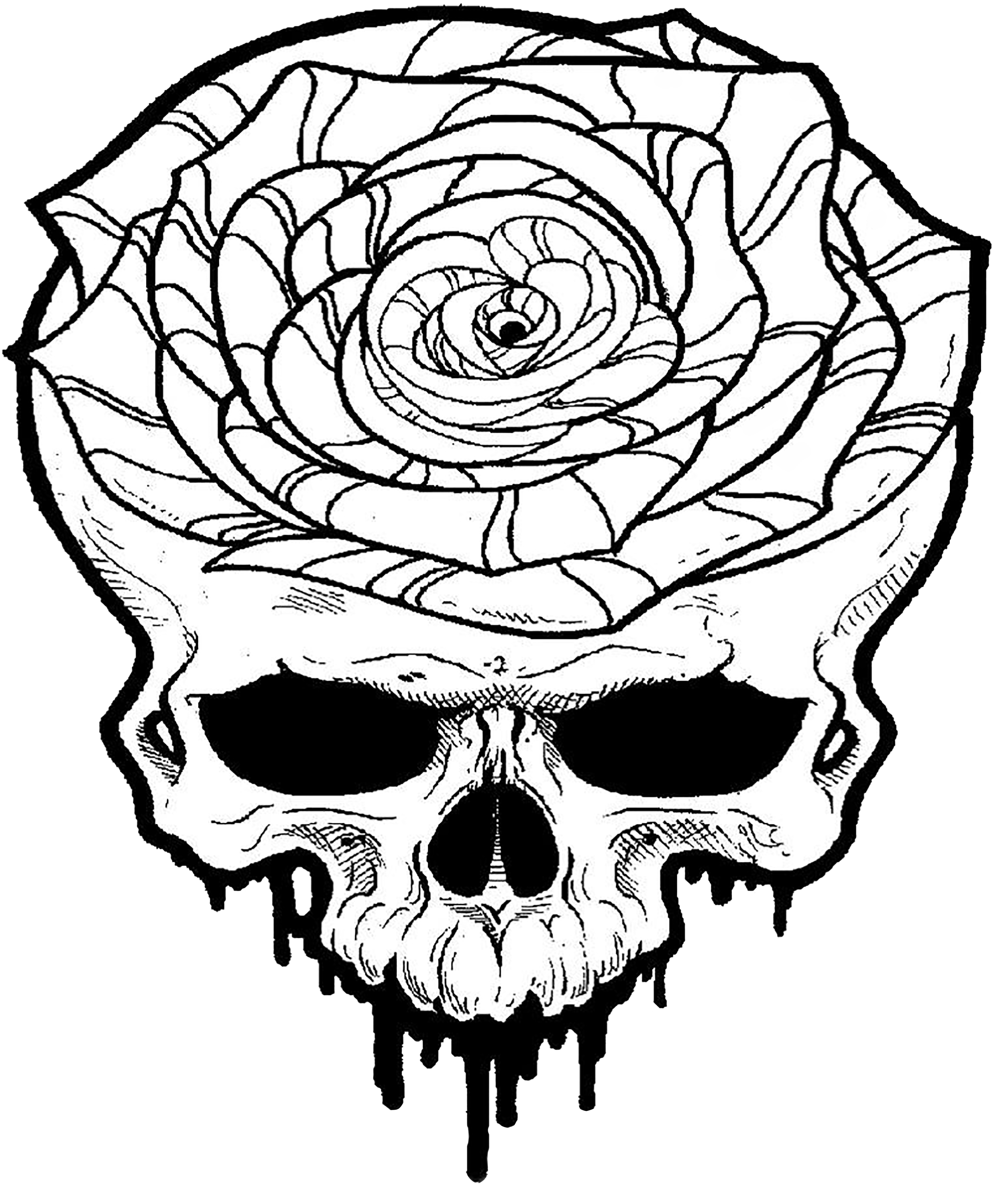White Skull Drawing Background PNG Image