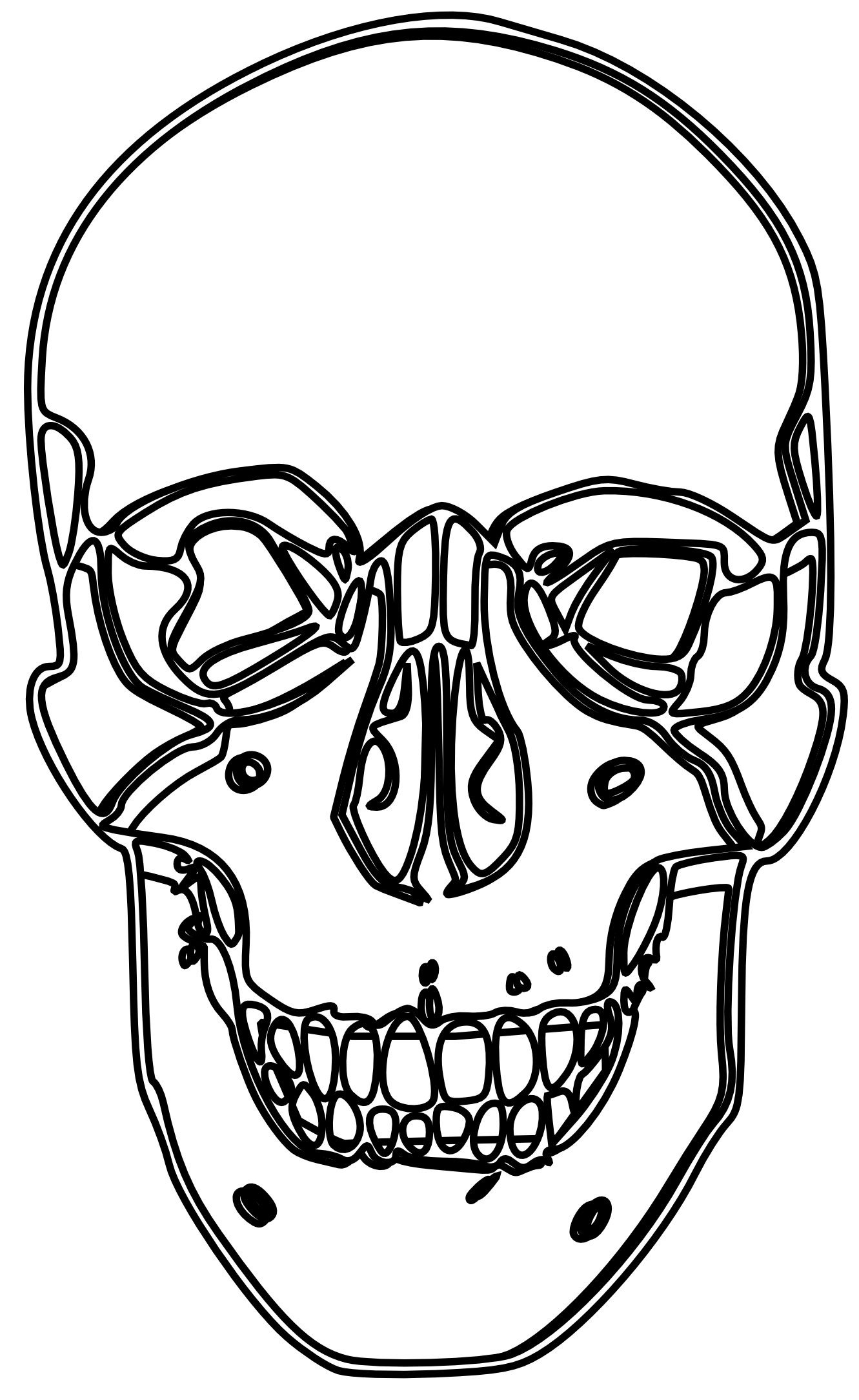 White Skull Drawing PNG Clipart Background
