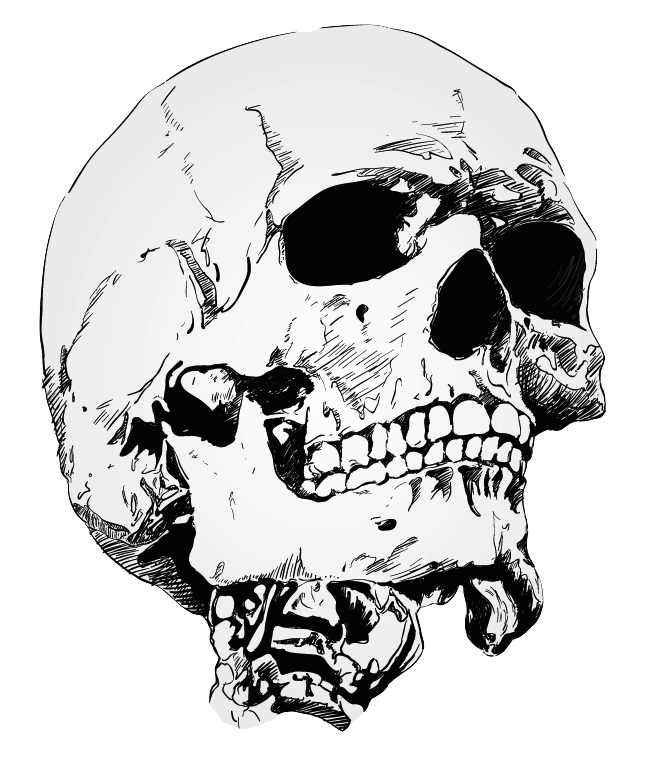 White Skull Drawing PNG HD Quality