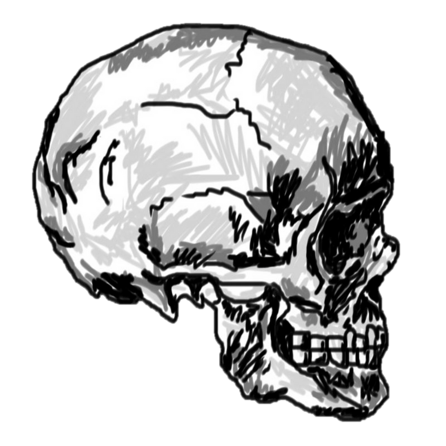 White Skull Drawing Transparent PNG