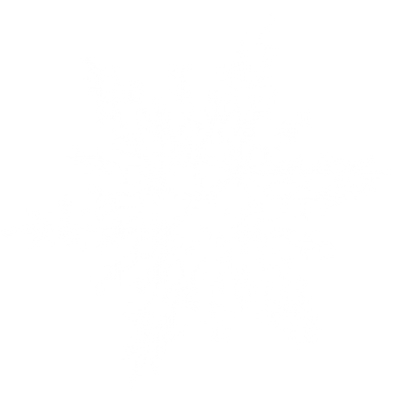 White Snowflake Transparent Background