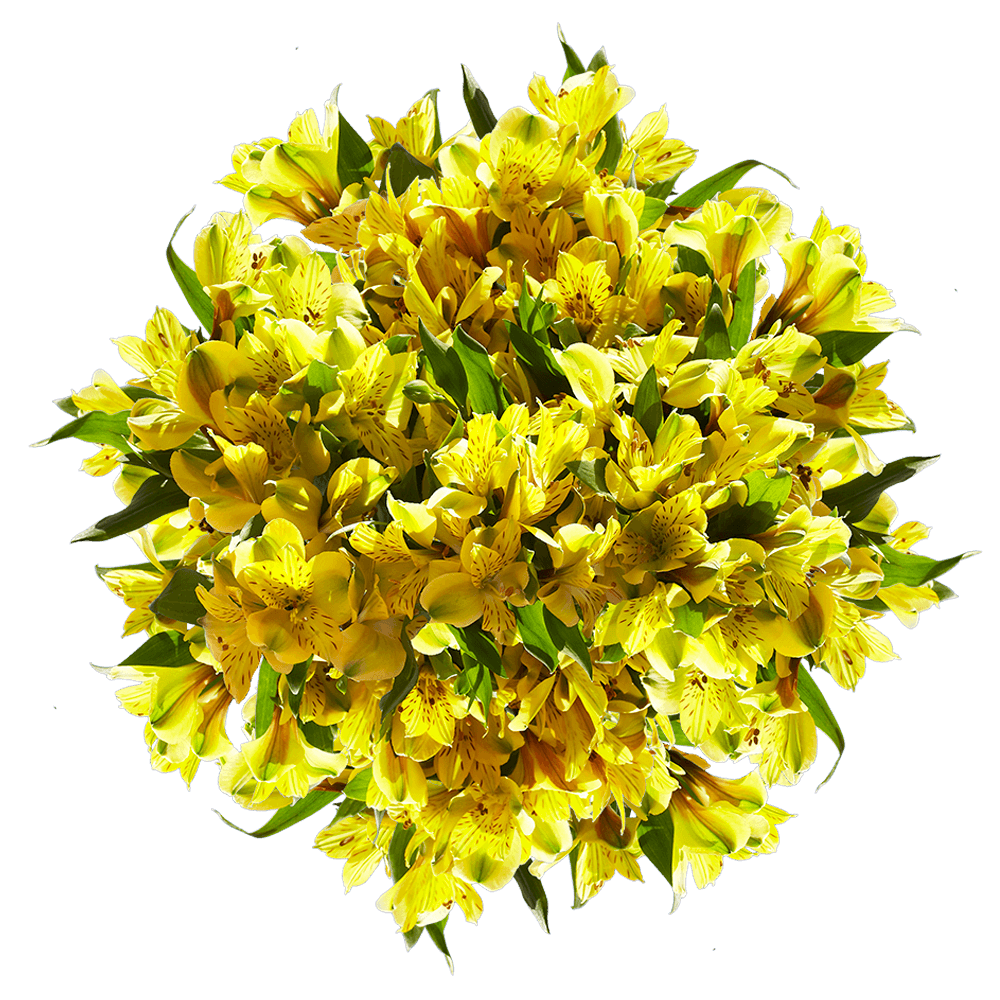 Yellow Bouquet Transparent Background