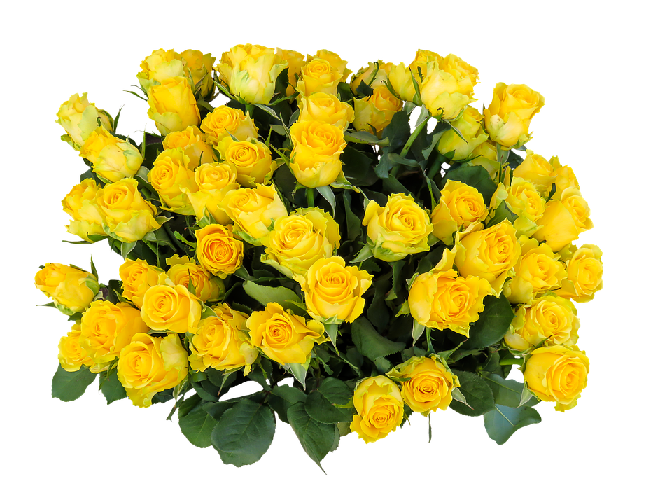 Yellow Bouquet Transparent Images