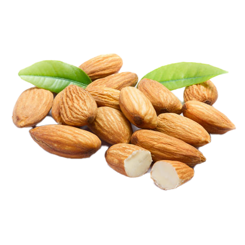 Almond Download Free PNG