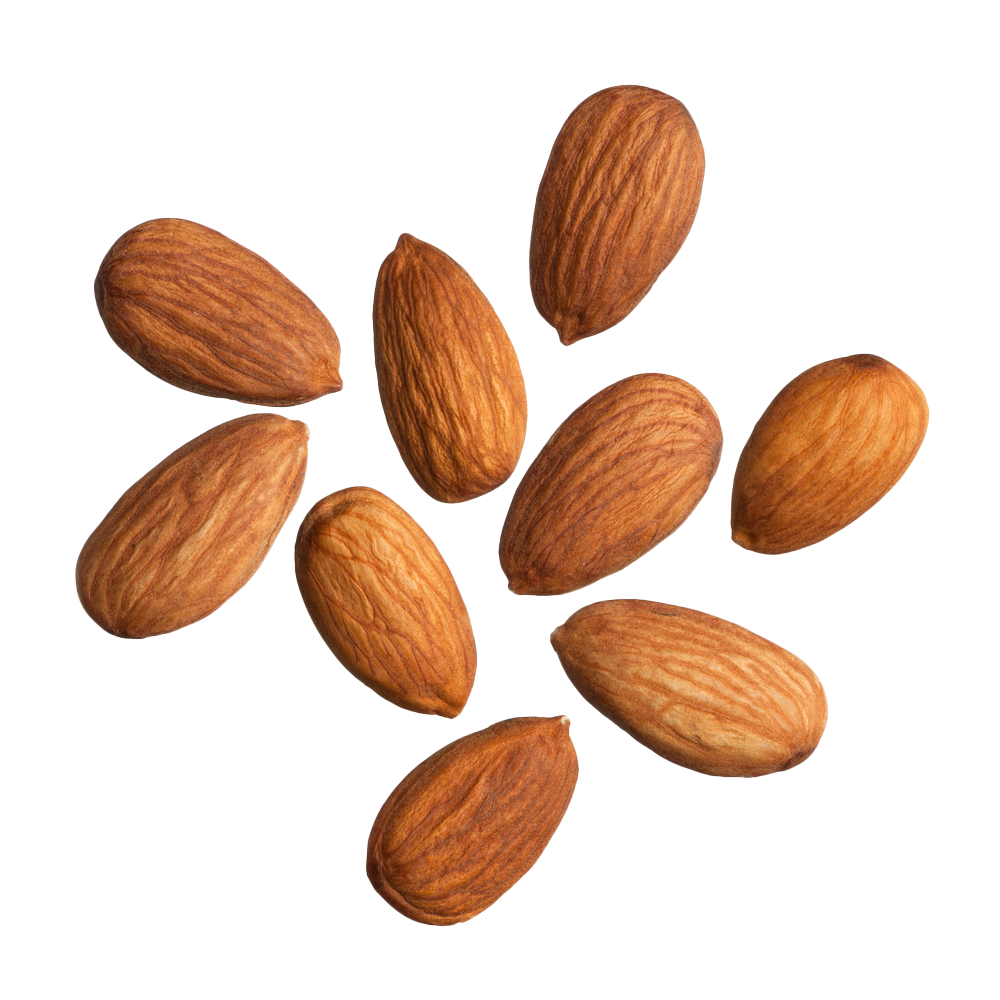 Almond Free PNG