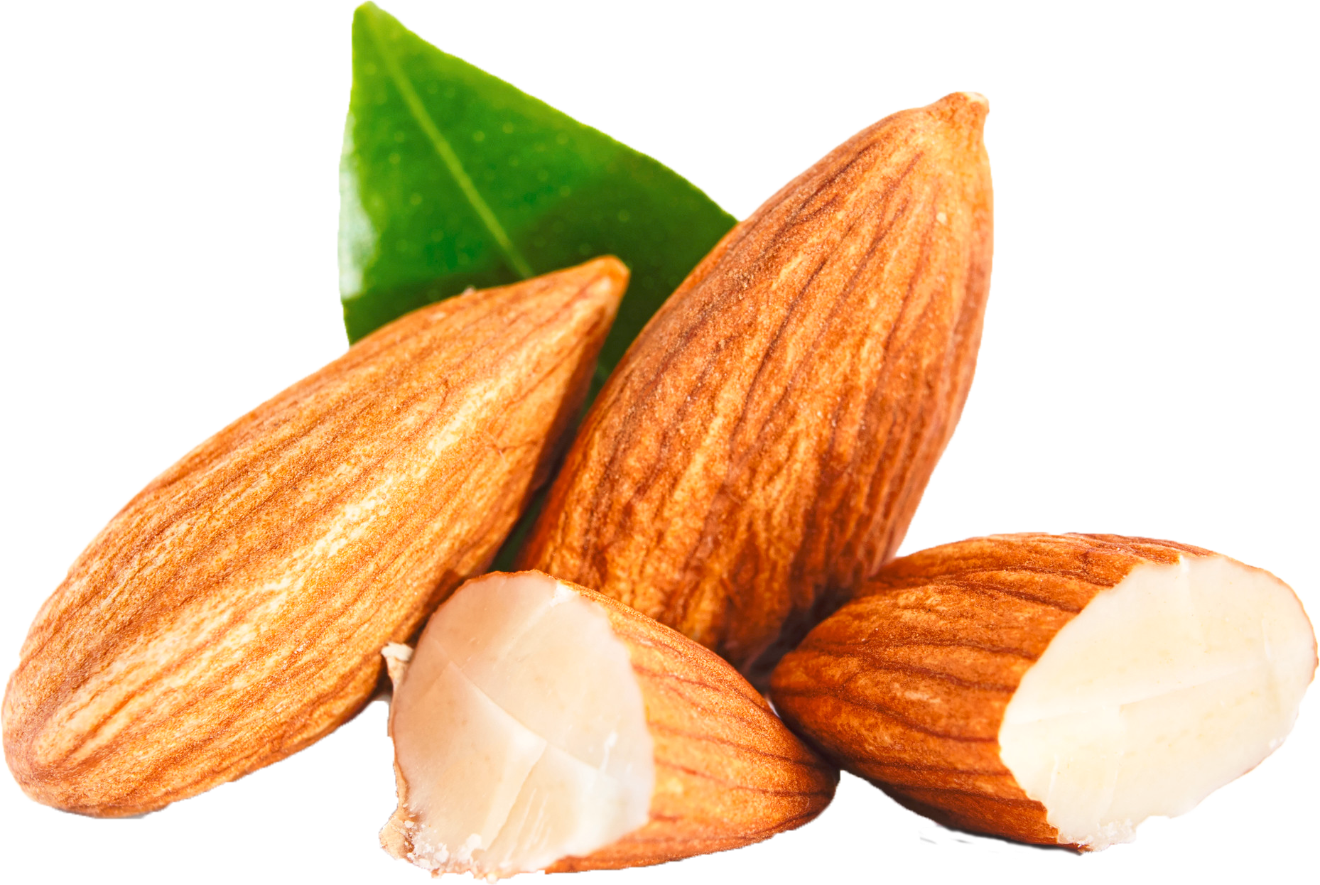 Almond PNG Free File Download