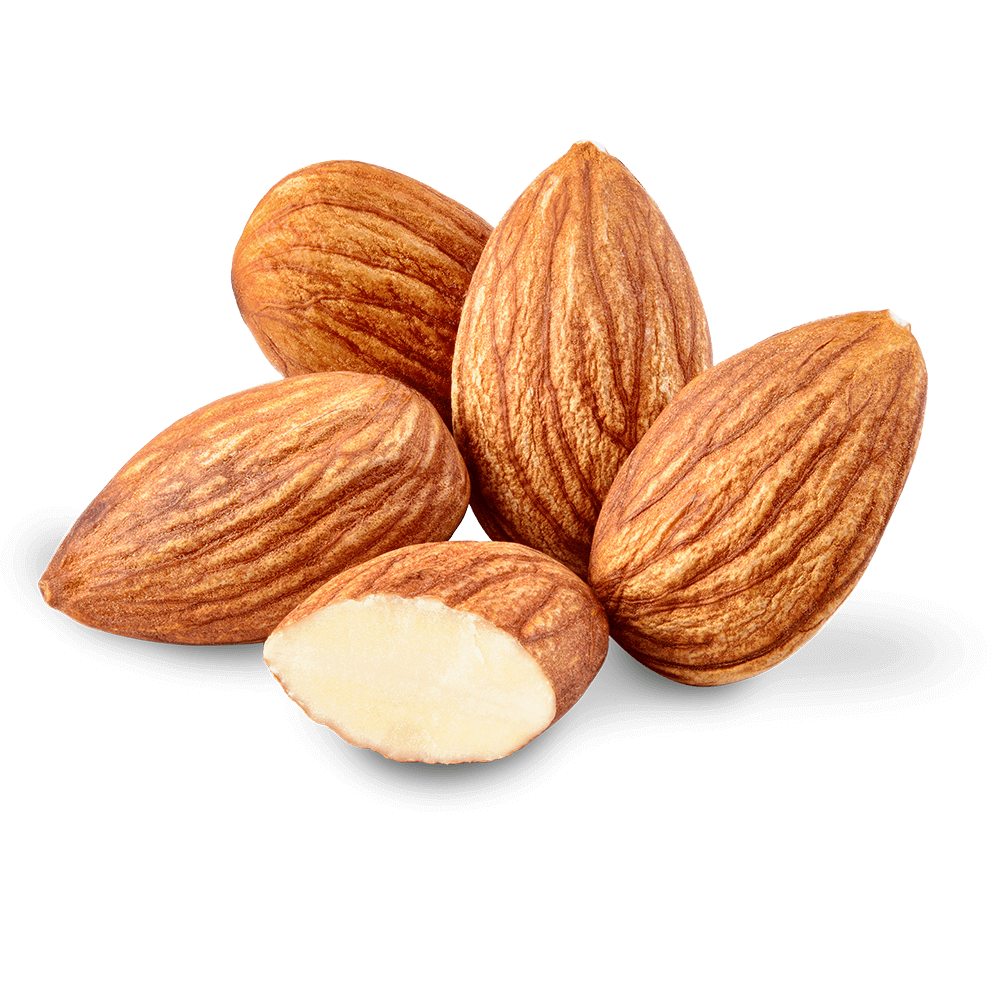 Almond PNG Images HD