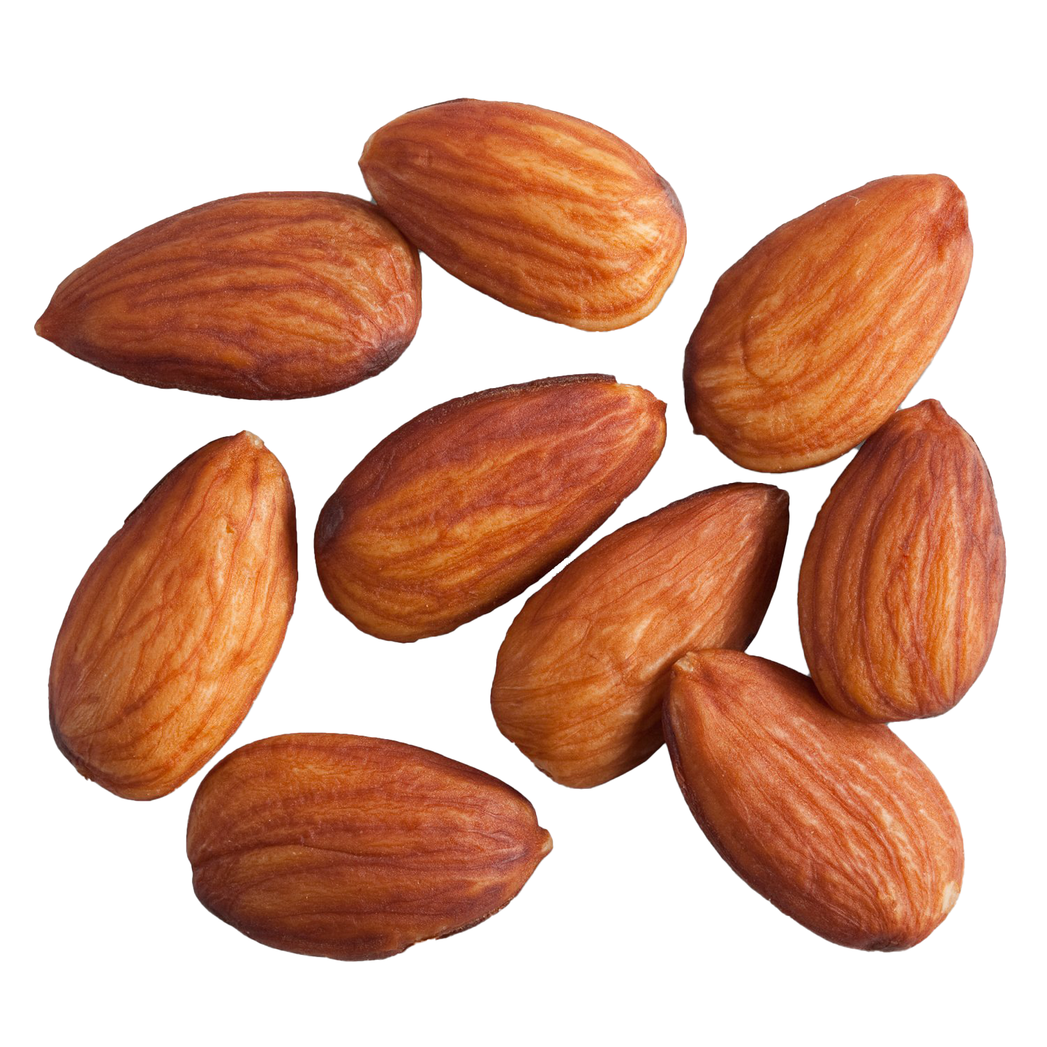 Almond PNG Photo Image