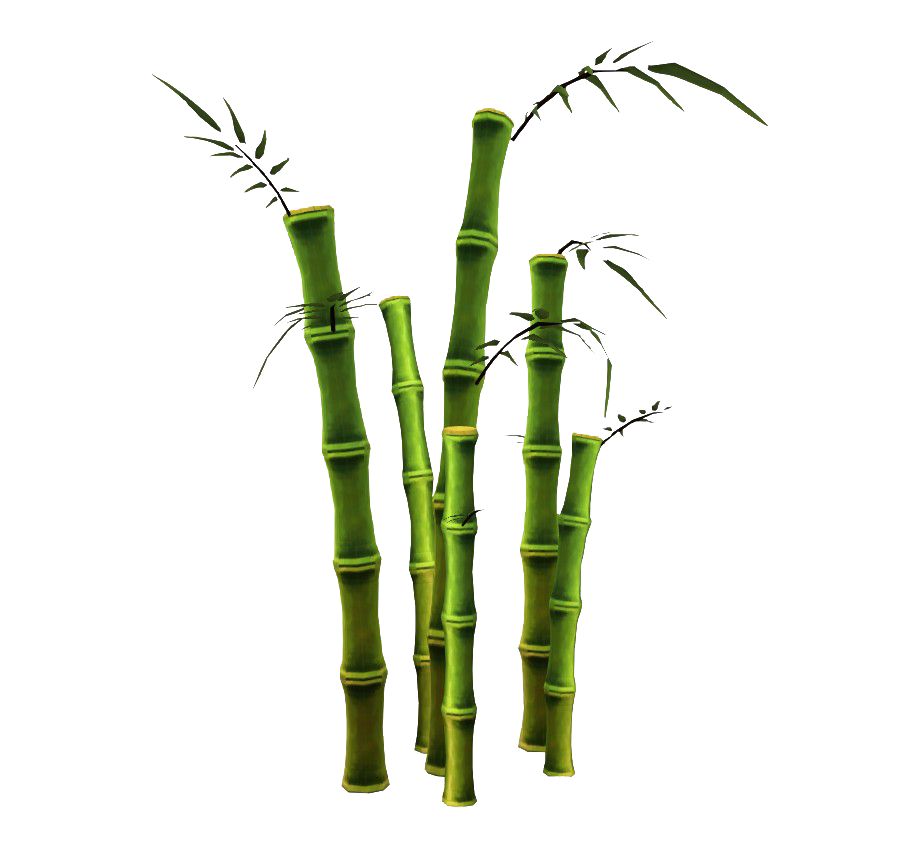 Bamboo PNG HD Quality