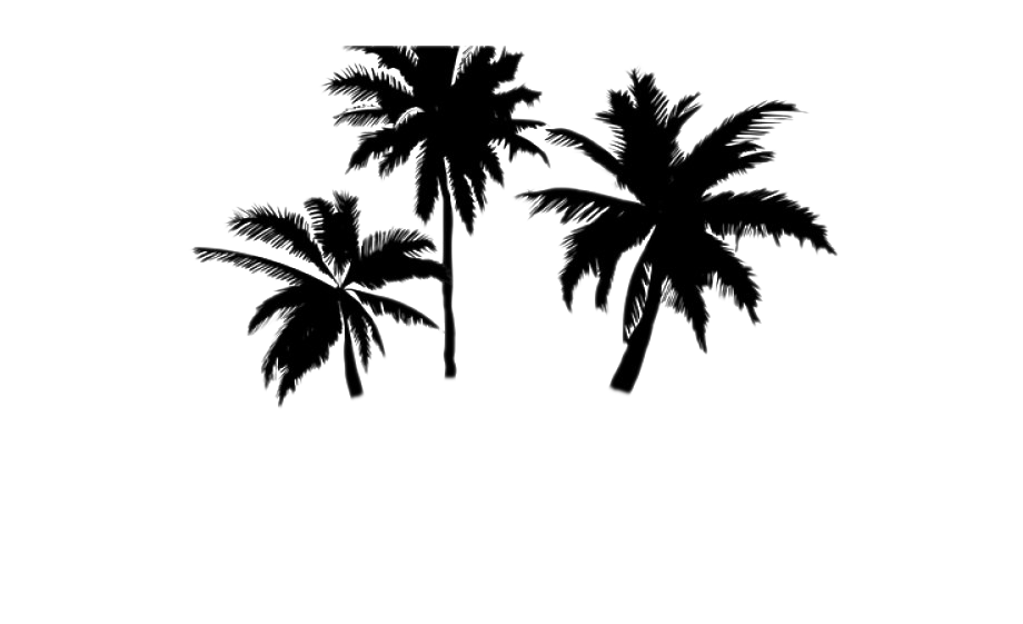Black Palm Tree Background PNG Image