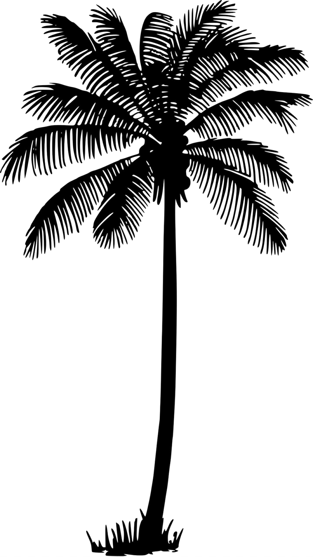 Noir Palm Tree Télécharger gratuitement PNG