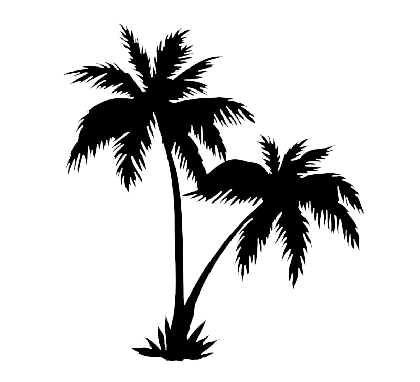 Fond Clipart pgn palmier noir