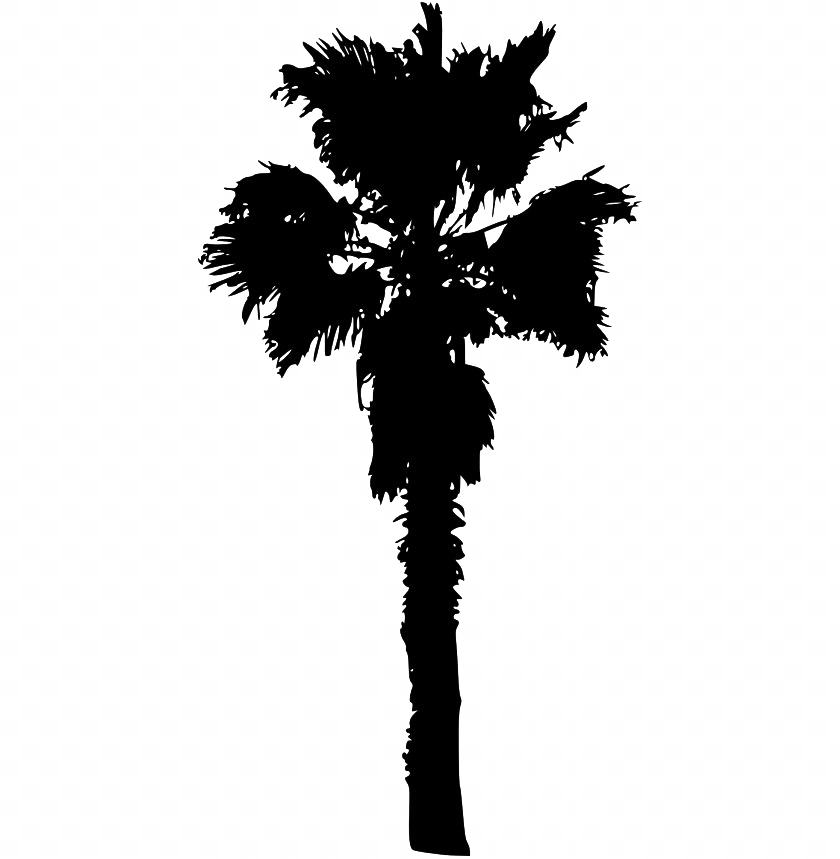 Black Palm Дерево прозрачное PNG