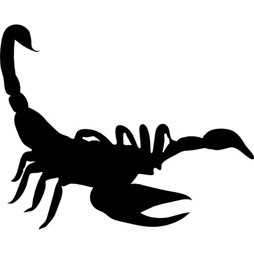 Black Scorpion Background PNG Image