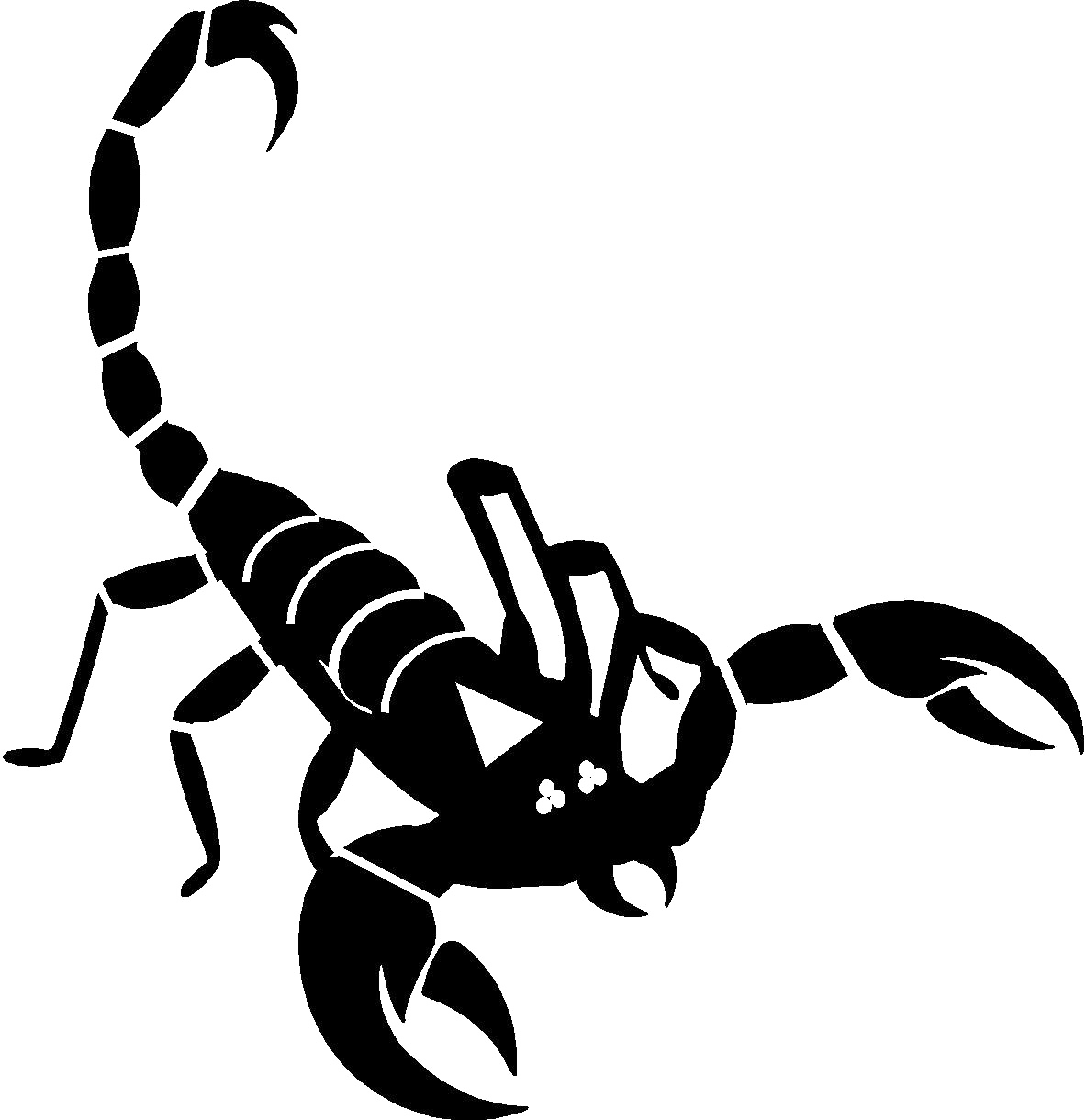 Black Scorpion Transparent Image