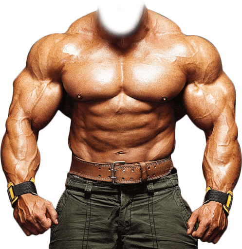 Bodybuilding Transparent Free PNG