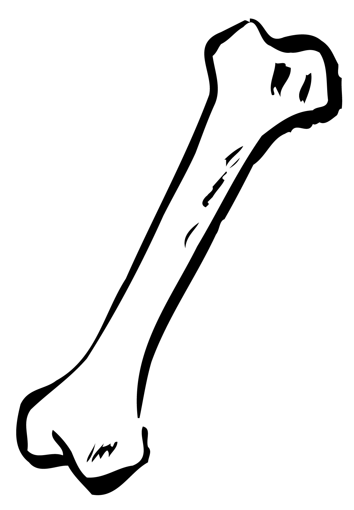 Bone Transparent PNG