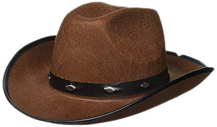 Brown Cowboy Chapéu baixar grátis png