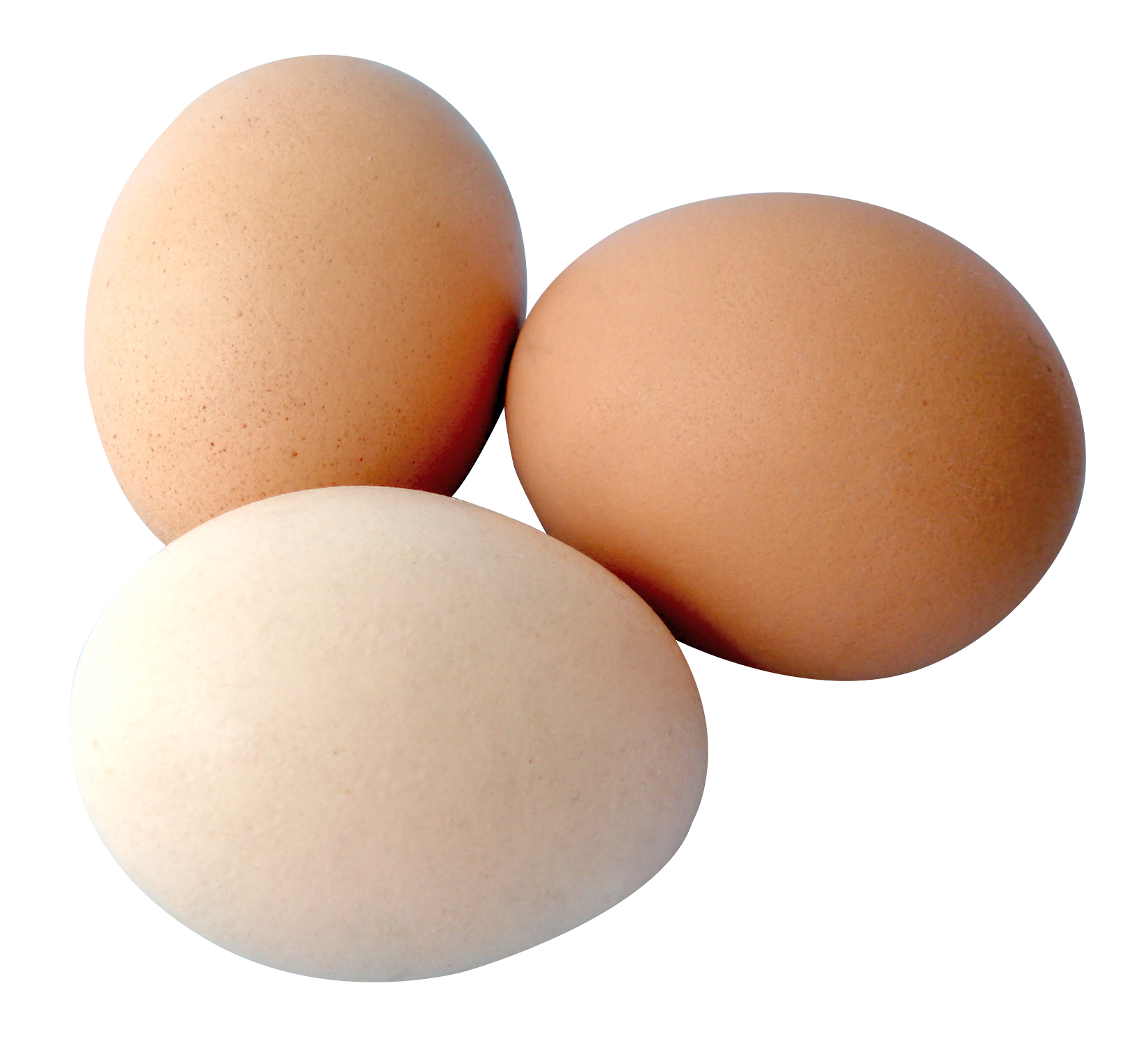 Brown Eggs Transparent PNG