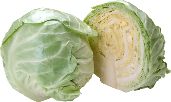 Cabbage Download Free PNG