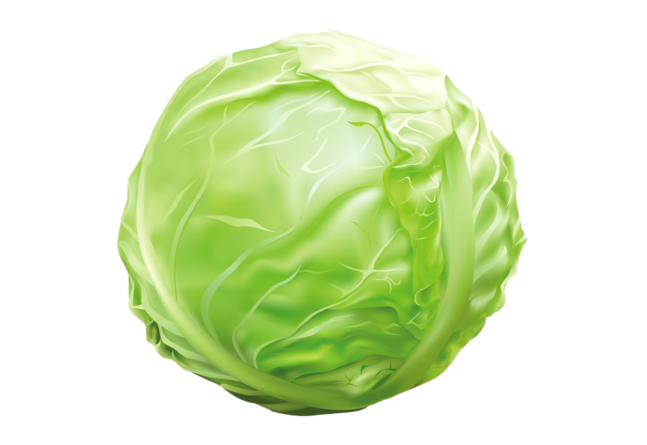 Cabbage Transparent Background